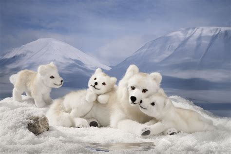 Arctic Wolf Puppies