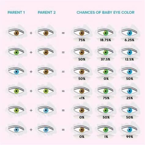 analyzing eye color genetics chart and what you need to know - 8 best ...