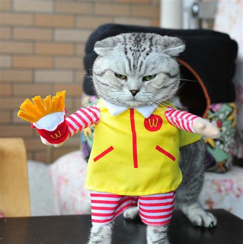 Cute Cat Halloween Costume - Fast Food Character Clothes – Cat Bonanza