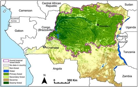 Dynamics of Deforestation and Degradation of Forests in the Democratic ...