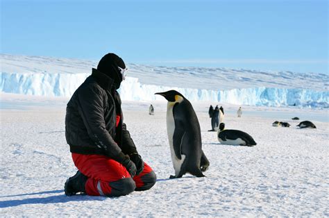 Antarctica Population What Is The Population Of Antarctica