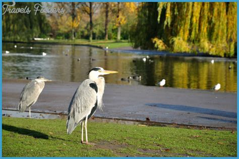 REGENT’S PARK - TravelsFinders.Com