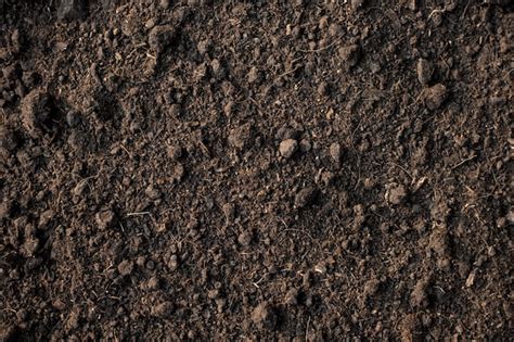 Premium Photo | Fertile loam soil suitable for planting, soil texture ...