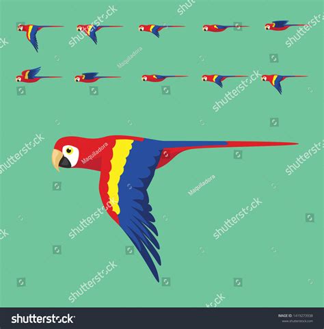 3,142 Macaw Flying Stock Vectors, Images & Vector Art | Shutterstock