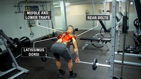 The Ultimate Guide On How To Do Barbell Rows To Build A Bigger Back