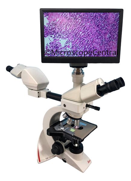 Leica DM1000 Dual Viewing | Digital Pathology Microscope | Microscope ...