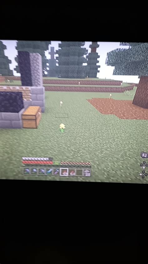 help I'm invisible and it's not a potion effect : r/minecraftbedrock