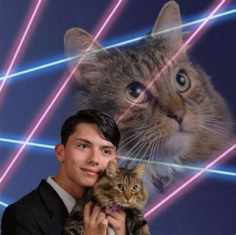 Cats With Laser Beams - The Best Picture Of Beam