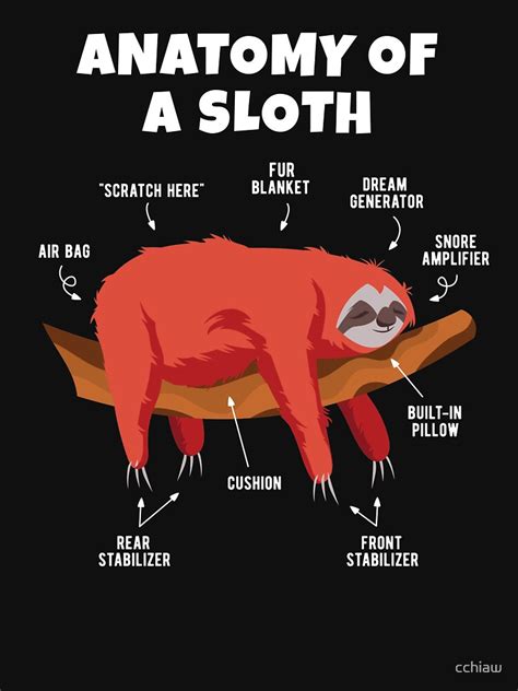 "Anatomy of a Sloth" T-shirt for Sale by cchiaw | Redbubble | sloth t ...