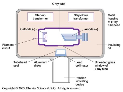 dental x ray machine parts and functions - Leatha Snipes