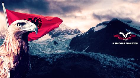 Albanian Eagle by xhevahir on DeviantArt