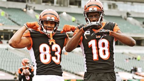 A.J. Green And Family Head Into Retirement Rooting For Bengals: After ...