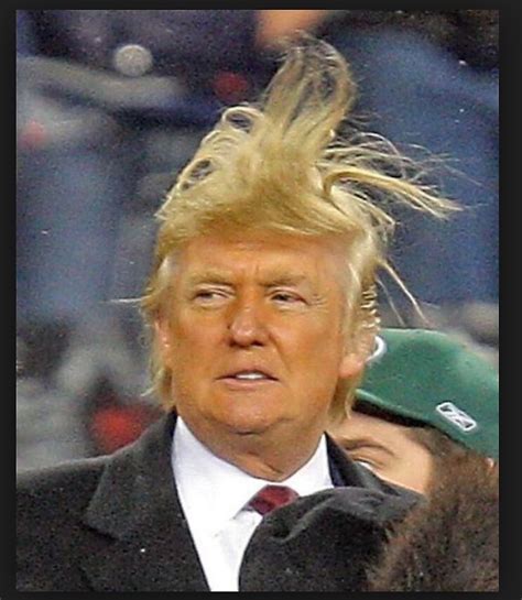 "Trump wind hair" by mollyelsted | Redbubble