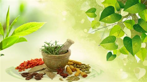 Ayurveda: the science of long and happy life