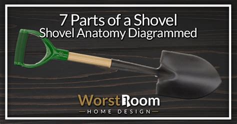 7 Parts of a Shovel: Shovel Anatomy Diagrammed - Worst Room