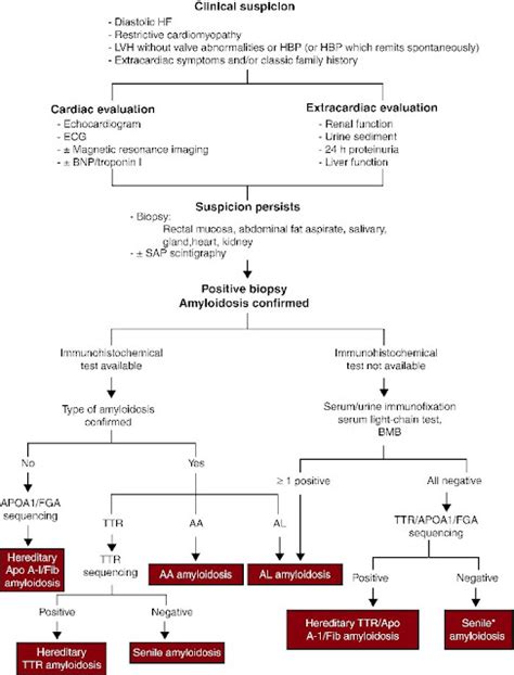 Absorb Medicine: Cardiac Amyloidosis/ Amyloid Heart Disease