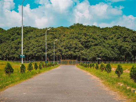 How To Visit The Great Banyan Tree In Kolkata Botanical Gardens!