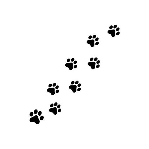 Cat Paw Prints Lot of 8 Stickers Wall Decals liked on Polyvore ...