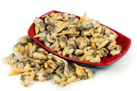 Clam Meat 1kg - Frozen Fish Direct