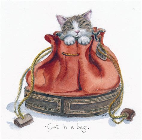 Cat in a bag - Fran Evans Illustration