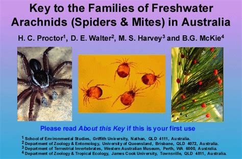 Key to Freshwater Arachnids (Spiders & Mites) - Key Search