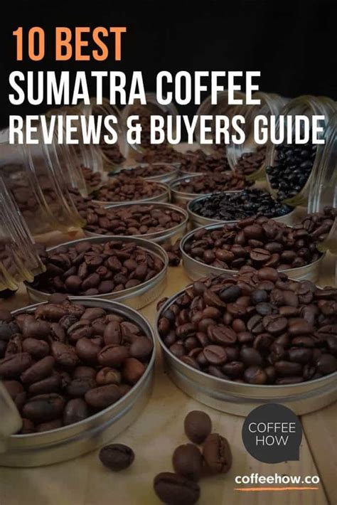 10 Best Sumatra Coffee Beans! Real Facts, Reviews and Story