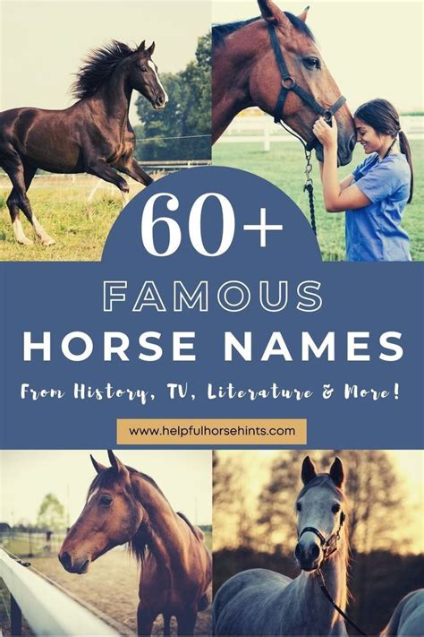 60+ Famous Horse Names from History, TV, Literature & More! | Horse ...