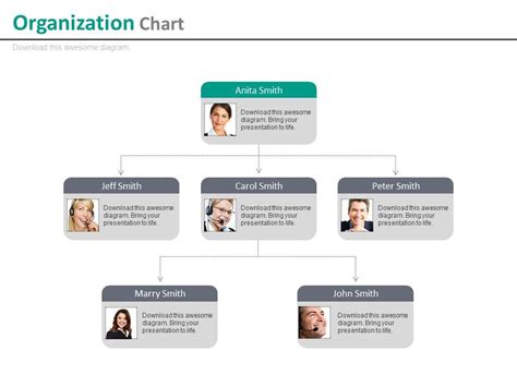 Multilevel company organizational chart for employee profile powerpoint ...