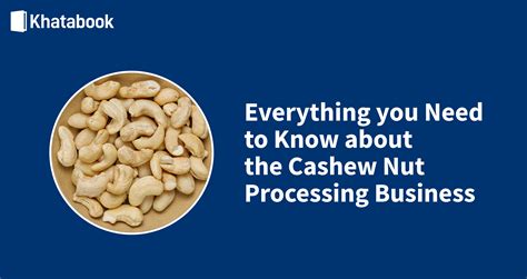 Starting A Cashew Nut Processing Business In India- Complete Guide