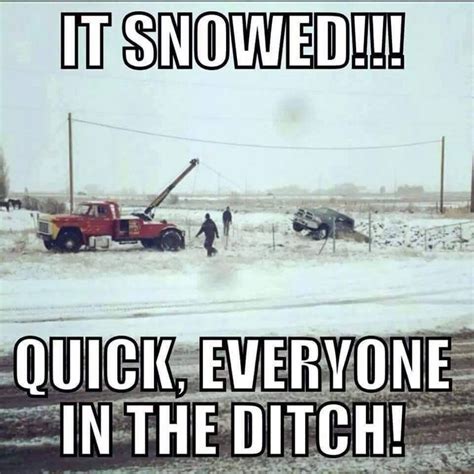 It snowed!!! Quick, everyone in the ditch! | Haha funny, Funny pictures ...