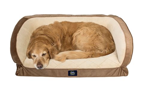 Serta Orthopedic Memory Foam Couch Pet Dog Bed, Large, Color may vary ...