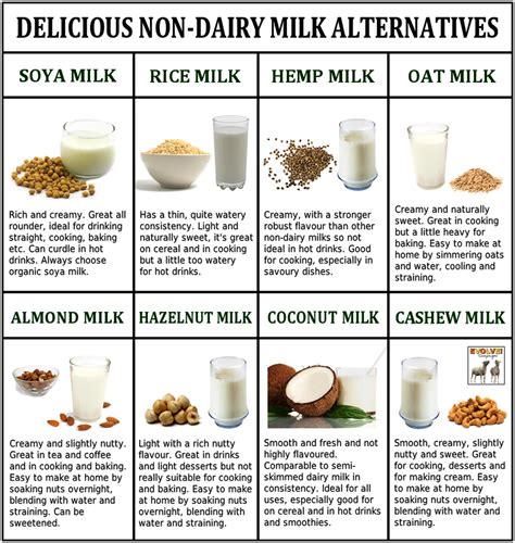 Delicious Non-Dairy Milk Alternatives | Useful Information