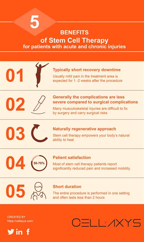 Stem Cell Therapy, Explained: Everything You Need To Know