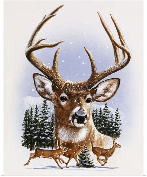 Poster Print Wall Art entitled Whitetail Deer Montage, Winter | eBay