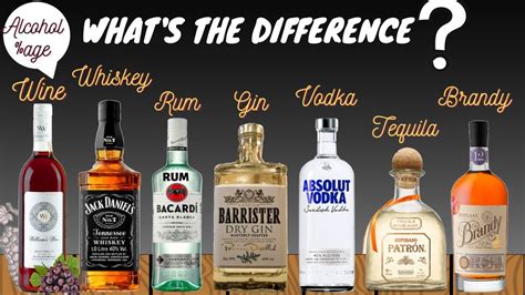 Difference between Alcoholic Beverages: Wine/Whiskey/Rum/Gin/Vodka ...