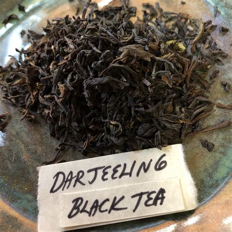 Darjeeling Black Tea | aromaG's Botanica