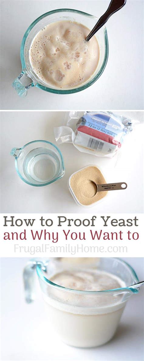 How to Proof Yeast and Why You Want To | Frugal Family Home