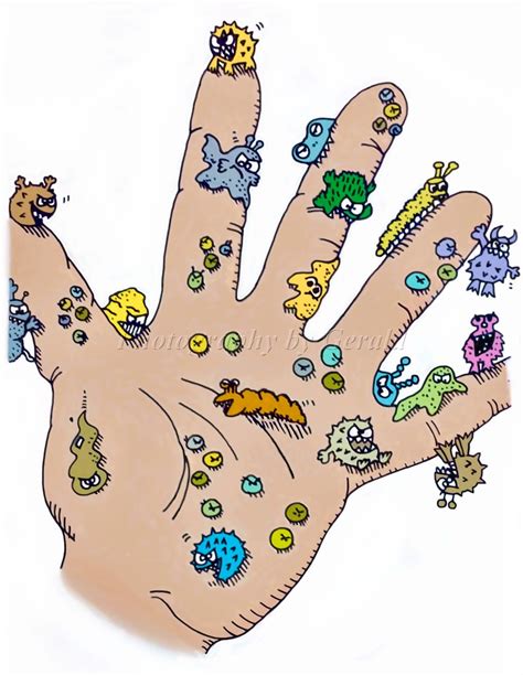 Germs Hand Washing Clip Art | Porn Sex Picture