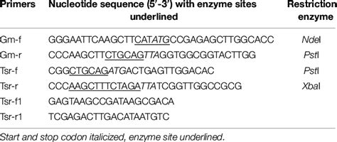 List of DNA primers used in the study. | Download Scientific Diagram