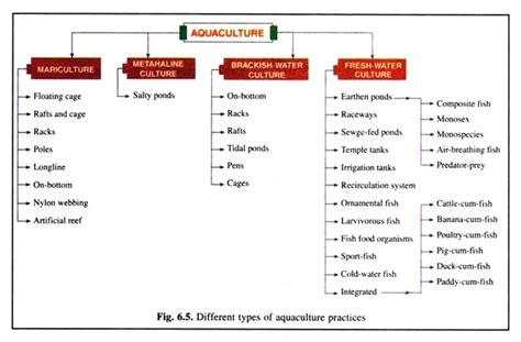 Aquaculture: Characters, Types and Qualities