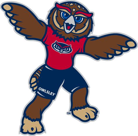 Florida Atlantic Owls Logo - Mascot Logo - NCAA Division I (d-h) (NCAA ...