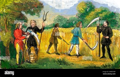 Feudalism - Peasants Working The Land Stock Photo - Alamy