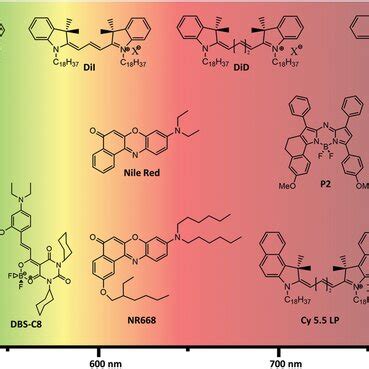 Examples of fluorescent lipophilic dyes used for preparation of ...