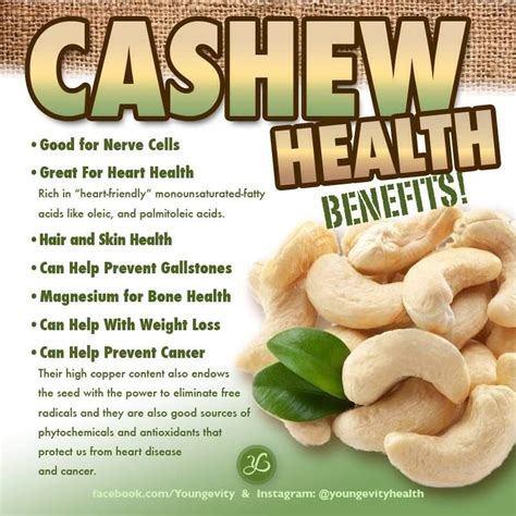 Health Benefits of Cashews | Cashews benefits, Health and nutrition ...