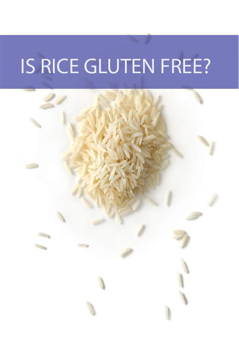 Is Rice Gluten Free? - Is This That Food