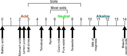 Soil pH – Gardening Tips and Advice – Oak Leaf Gardening