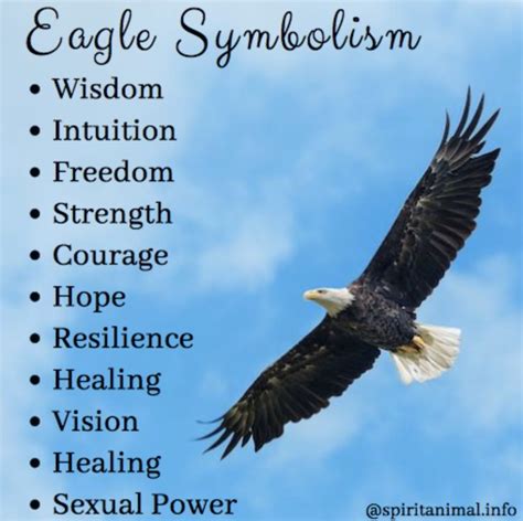 Eagle Symbolism: Discover the Meaning and Power of the Eagle Spirit Animal