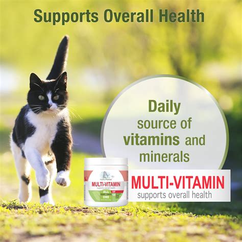 Healthy Promise Multi-Vitamins for Cats | Four Paws