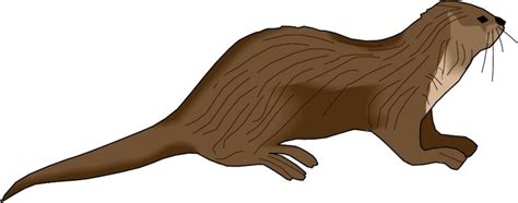 Free Otter Cliparts, Download Free Otter Cliparts png images, Free ...