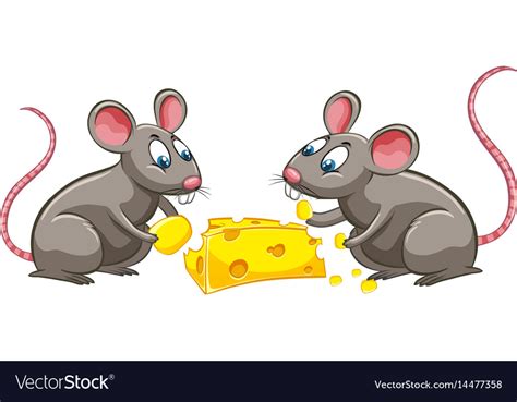 Two rats eating cheese Royalty Free Vector Image